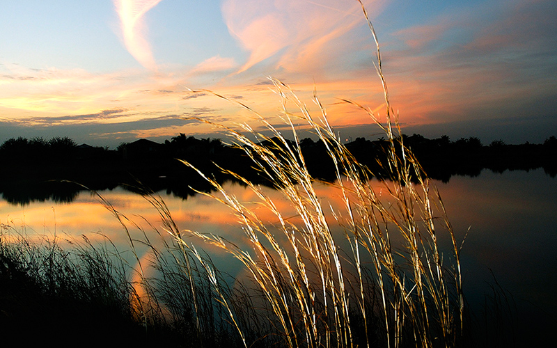 Nature